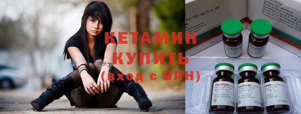 прущие грибы Верея
