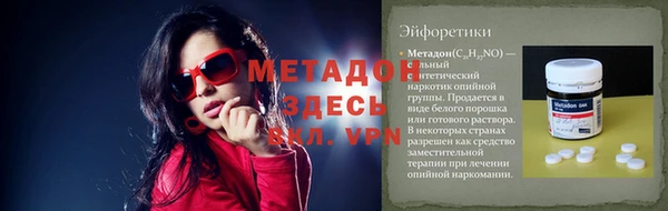прущие грибы Верея