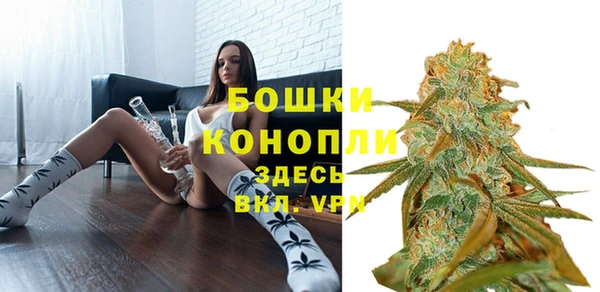 молекула духа Бронницы