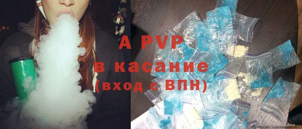 прущие грибы Верея
